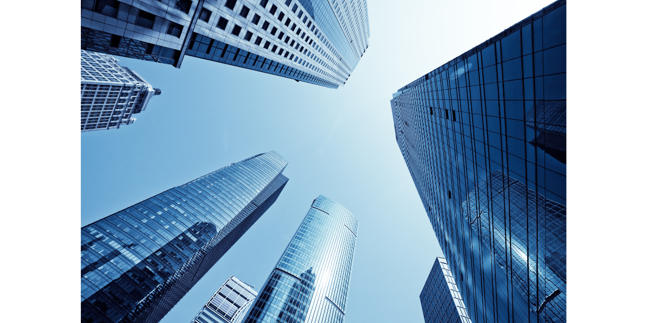 新卒採用 戦略 defer